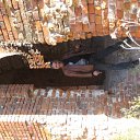 ���� ����, �����-��������� - ��������� 30 ������� 2010 � ������ ���� ����������