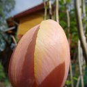 ���� ������, ������, 63 ���� - ��������� 5 ������� 2011 � ������ ������-���� �����....�