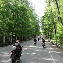 19 ��� 2013 �� ������� �����-��������� 2013�