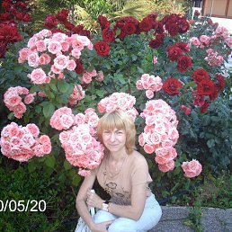 �����, �����������, 61 ���