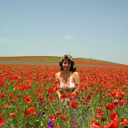 �������, �����������, 46 ���