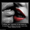   ...),  , 33  -  29  2010    ...)