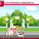 ���� ������, ���������, 43 ���� - ��������� 12 �������� 2010 � ������ �PetLove�