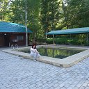 ���� �����, ������, 51 ��� - ��������� 20 ���� 2013 � ������ ���� ����������