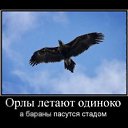  Oleg, , 46  -  8  2011