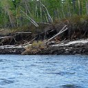 ������ �� ������� ���� ����������