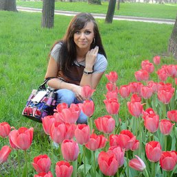 ���� �����, ���������, 48 ��� - ��������� 1 ������� 2013