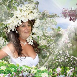 ��������, ����������, 65 ���