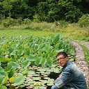 ���� ����� �������, �����������, 41 ��� - ��������� 26 ������� 2013 � ������ ���� ����������