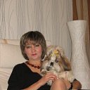 ���� �����, ����������, 57 ��� - ��������� 1 ���� 2013 � ������ ���� ����������