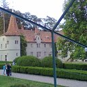 ���� �����, ���������� - ��������� 8 ������� 2012