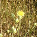 ���� ����, �������� ������ - ��������� 22 ���� 2010 � ������ ������� ����)�