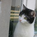 ���� << �����, ���������, 35 ��� - ��������� 13 ��� 2010 � ������ �������