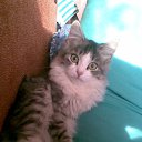 ���� ���������� ������, �����������, 26 ��� - ��������� 9 ��� 2010 � ������ �������