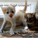 ���� ����, ��� - ��������� 18 ������ 2010 � ������ �������