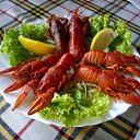 ���� ������, ������������, 40 ��� - ��������� 7 ������� 2011 � ������ ���� ����������