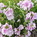 �������� �� ������� ����λ