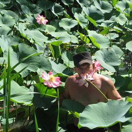 ���������, ��������-��-������