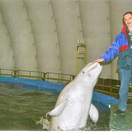 ���� ������, ���������, 59 ��� - ��������� 4 ����� 2013