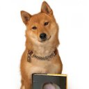 ���� �����, �������, 59 ��� - ��������� 31 ��� 2013 � ������ ���� ����������