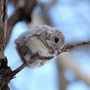 ���� ���������, ��������, 49 ��� - ��������� 14 ���� 2012 � ������ ���� ����������