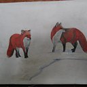 ���� ������, ���������, 47 ��� - ��������� 22 ���� 2012 � ������ ���������