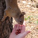 ���� Aleksandr:), �����������-��-�����, 54 ���� - ��������� 17 ���� 2010 � ������ ����� � ������