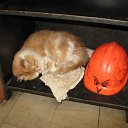 � ��������. �� ������� �����������ۻ