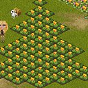 ���� �����, ������, 39 ��� - ��������� 30 ������� 2012 � ������ �Tropikania�