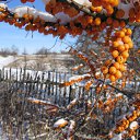 ���� ������, ������ - ��������� 25 ��� 2012 � ������ ���� ����������