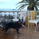 ���� Elena, �����������, 69 ��� - ��������� 17 ����� 2012 � ������ ���� ����������