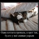 ���� !!!!! �����!!!!!, ���� - ��������� 16 ������ 2013 � ������ ������ ��������