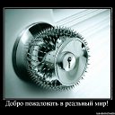 ���� �������, �������, 106 ��� - ��������� 10 ������� 2011 � ������ ���� ����������