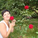 ���� ����, ��������, 53 ���� - ��������� 22 ������� 2012 � ������ ���� ����������