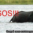  , , 46  -  1  2010    )))))))))))))