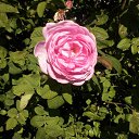 ���� �����, ���� - ��������� 31 ��� 2013 � ������ ���� ����������