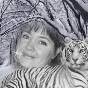 ������, 44 ����, ������-��-����