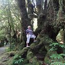 ���� ����, �����������, 72 ���� - ��������� 18 ����� 2013 � ������ �Travel. Tour "Bright face New Zealand." January 2013.�