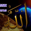 ���� �����, ������, 44 ���� - ��������� 16 ���� 2012 � ������ �Avataria�