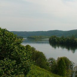 �����, ���, 51 ���