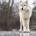 ���� ����, ����, 46 ��� - ��������� 9 �������� 2010 � ������ ��������