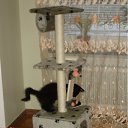 ���� �������, ���������, 49 ��� - ��������� 4 ����� 2011 � ������ �Magnificent�