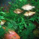 ���� ����, ������ - ��������� 22 ������� 2012 � ������ ���� ��������� �� ���������� �����!!!�