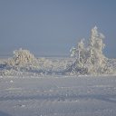 ���� ���������, �����, 59 ��� - ��������� 12 ����� 2013