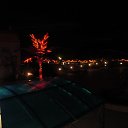  , , 40  -  22  2013    ,,  2013