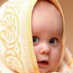 �������, �����, 43 ����