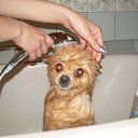 �� ������������ �� ������� ���� ��������