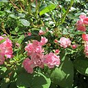 ���� �������, �������, 70 ��� - ��������� 25 �������� 2012 � ������ �������