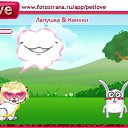 ���� ������, �����, 23 ���� - ��������� 12 �������� 2010 � ������ �PetLove�