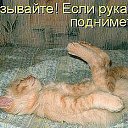 ���� ******Elena, ������, 45 ��� - ��������� 23 ������ 2012 � ������ �������
